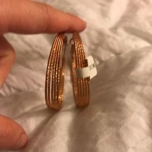 Brand New Francescas Gold hoop earrings